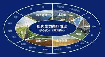 道和集團象山現代生態循環農業示范基地建設將啟動