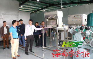 東昌胡椒加工廠建成投入使用