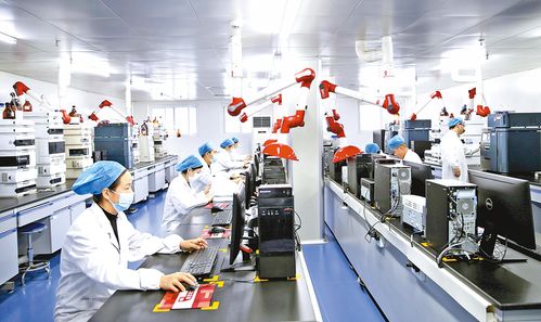 前 瞻 布 局 再 造 新 版 圖