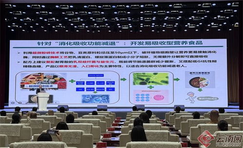 科技賦能，品牌驅動，西部農業加工新篇章——騰沖峰會共商發展大計